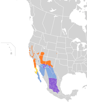 Spizella atrogularis map.svg