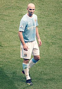 Stephen Ireland 2009 (cropped).jpg