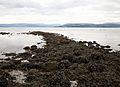 The Colgrain Yair (Fish Trap), Helensburgh