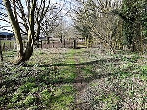 The fence at end of the Mid-Norfolk Railway