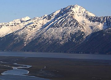 Turnagain Arm and Mount Alpenglow.jpg