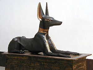 Tutankhamun jackal