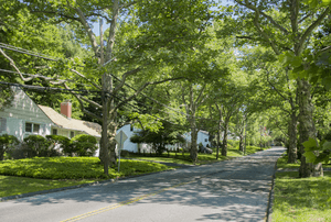 Underhill Road, Chilmark