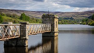 Upper Reservoir, Glenasmole