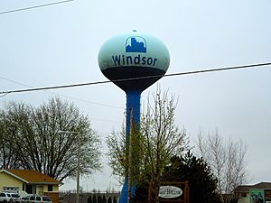 Windsor water tower