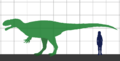 Yutyrannus SIZE