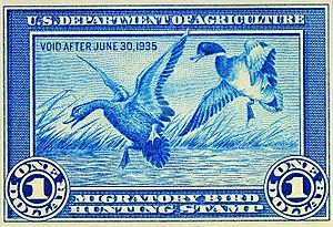 1stDuckStamp