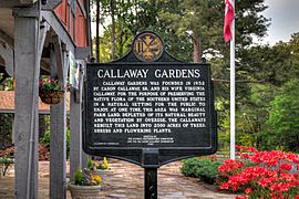 20-01-285-callaway