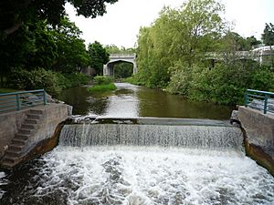 2009-0619-Petoskey-BearRiver1