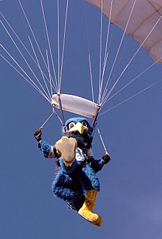 AFA The Bird chute