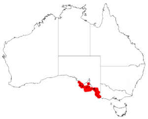 Acacia leiophyllaDistMap525.png