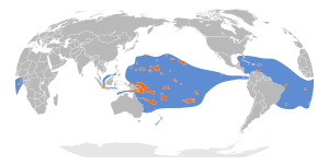 Anous minutus map.svg