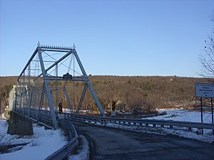 Approaching the Skinners Falls-Milanville Bridge