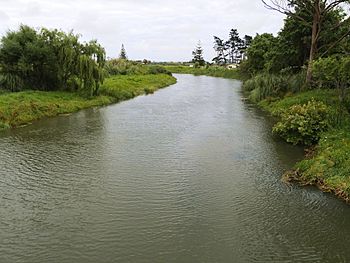 Awanui River.jpg