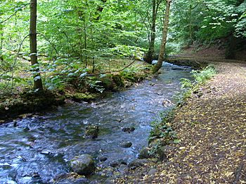 Braid Burn - geograph.org.uk - 1462478.jpg