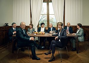 Bundesrat der Schweiz 2015