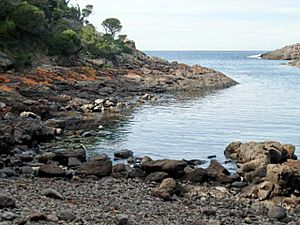 Bushrangers Bay - Bass Point.JPG