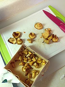 Chanterelle mushrooms