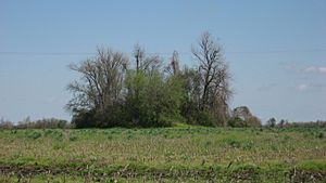 Chickasawba Mound