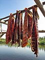 Drying Salmon