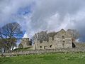 Dundrum Castle 03