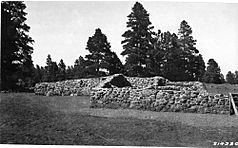 Black and white stone structure in front of trees