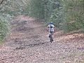 Epping Forest, cyclist - geograph.org.uk - 1214480