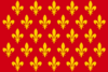 Flag of Prato