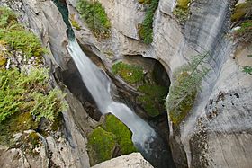 Gazing down into Maligne Canyon.jpg