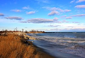 Gfp-illinois-beach-state-park-shoreline-of-lake-michigan.jpg