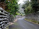 Left: Walls built by exiles on HachijojimaRight: A beach on Niijima