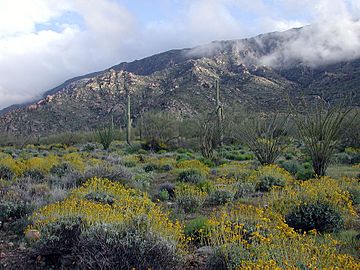 Harquahala Mountains.jpg