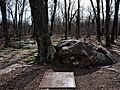 Highest natural point in Missouri