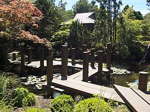 Japanese Garden Hobart Botanical 20171119-015