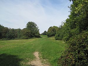 King George's Fields