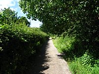 Kirby Park disused station.jpg