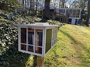 LittleLibrary-HollinHills-GlasgowRd