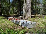 Mailboxes-Elkmont