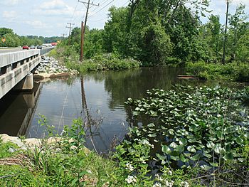 Mechanicsville, bridge over Chickahominy.jpg