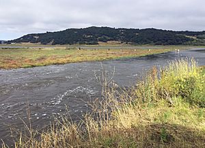 Mouth of Carneros Creek July 3, 2017.jpg