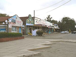 Nanyuki main street