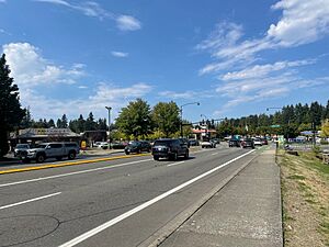 Intersection between Coal Creek Parkway and Newcastle Way, looking northwest towards Bellevue