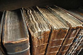 Old book bindings