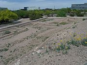 Phoenix-Pueblo Grande Ruin-Hohokam Village-2