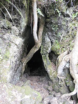 Rangitoto lava tube