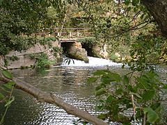 River Nadder at Teffont Mill