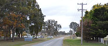 Rugby Main Street 002.JPG