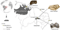 Spinosaur Taxonomy Map