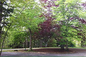 St.AspinquidChapel,PointPleasantPark,NovaScotia