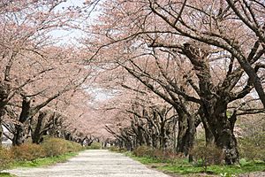 Tenshochi Park